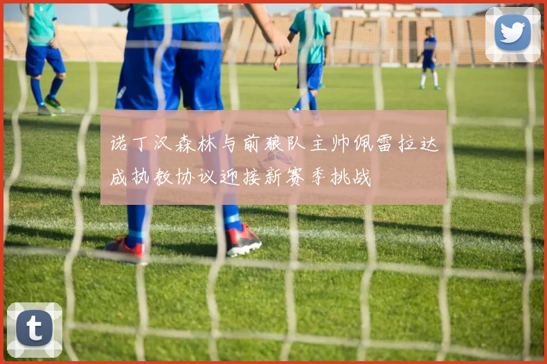 诺丁汉森林与前狼队主帅佩雷拉达成执教协议迎接新赛季挑战