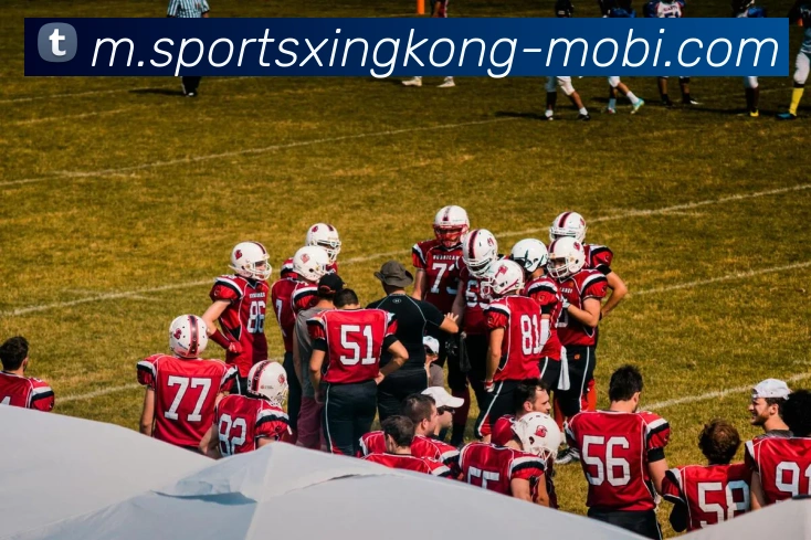 星空体育APP 高清赛事图